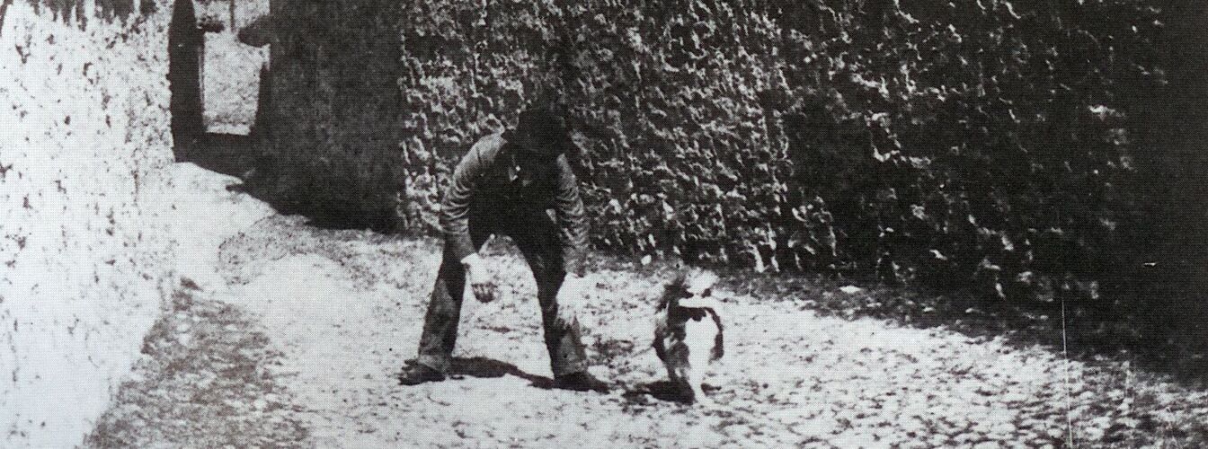 Hotel Villa Carona, TI